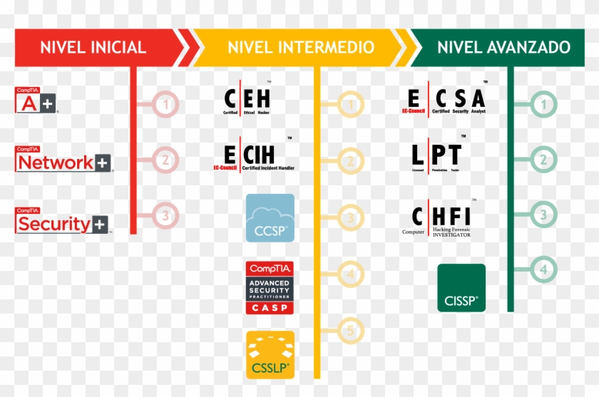 Obtener Una Certificación De Ti Puede Ayudarte A Comenzar - Comptia Network+ Clipart