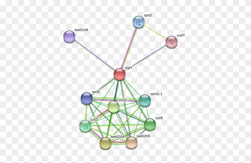 Circle Clipart #3328417