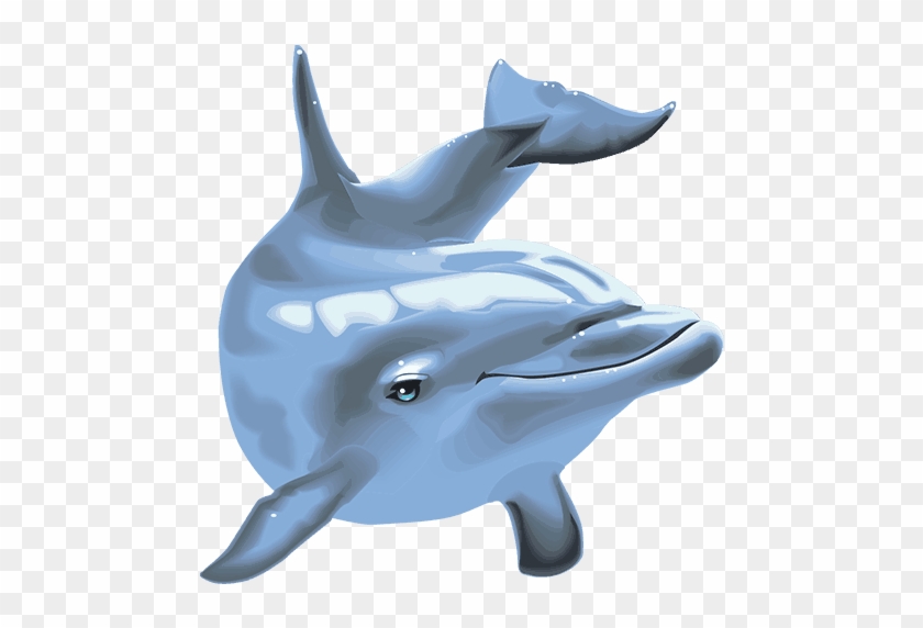 Dolphin´s Pearl™ Deluxe - Common Bottlenose Dolphin Clipart #3329506