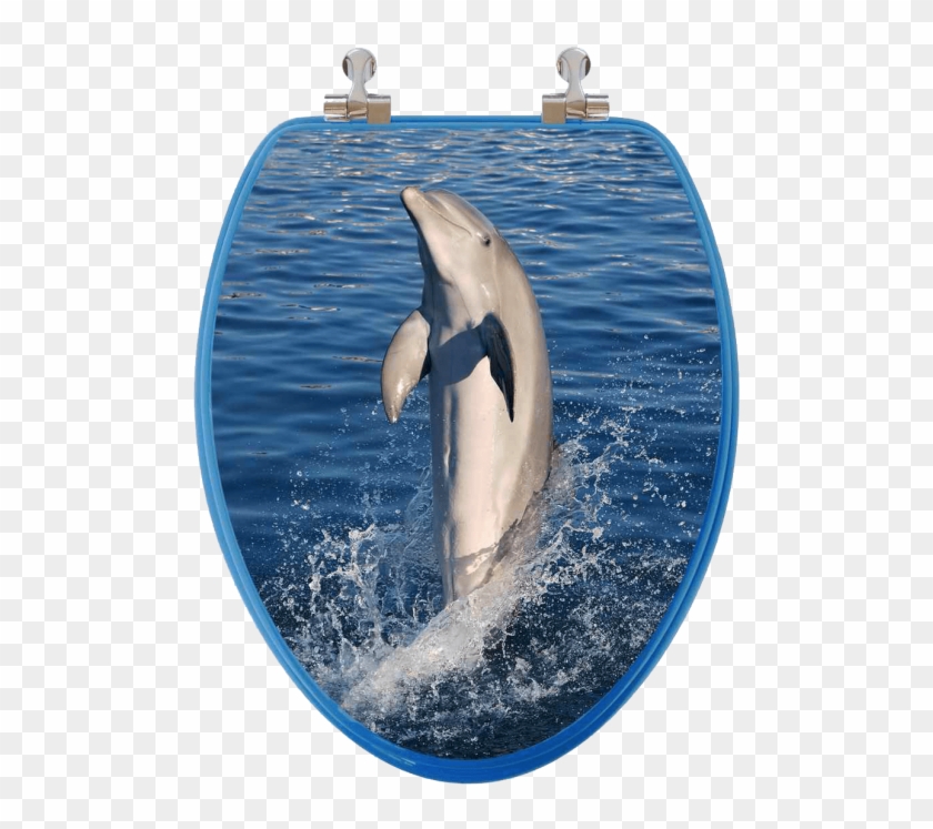 3d Vario Scenario® Elongated Toilet Seat W/ Chromed - Dolphin Safe Toilet Clipart #3329582