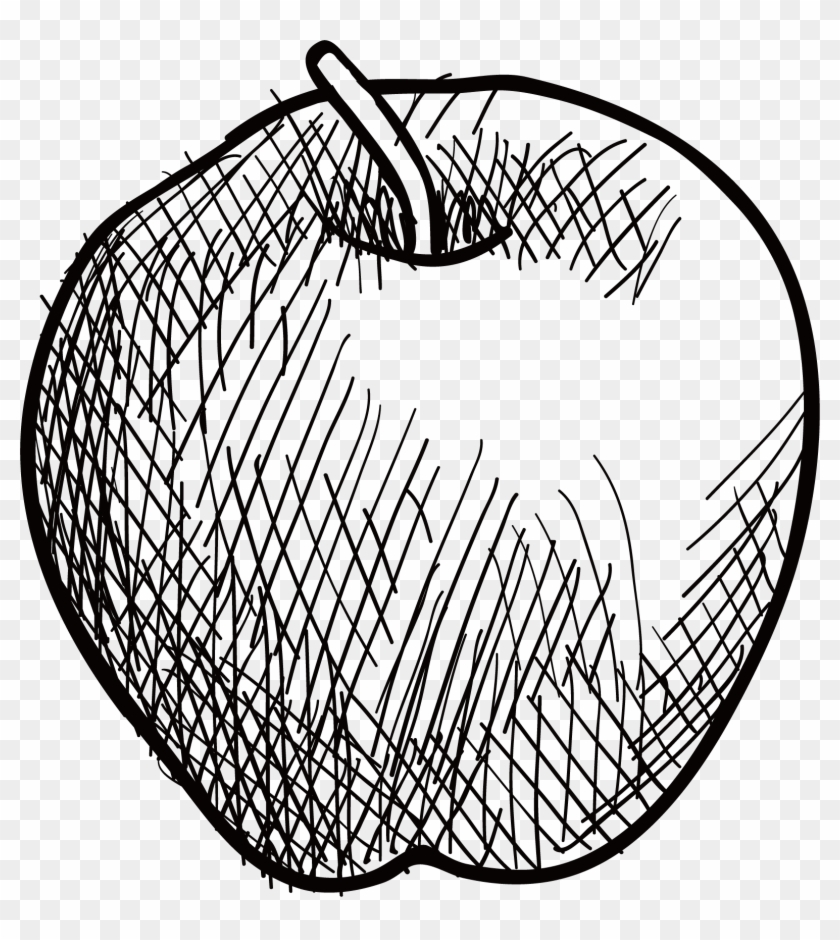 Drawing Apple Sketch - Apple Vector Sketch Art Clipart