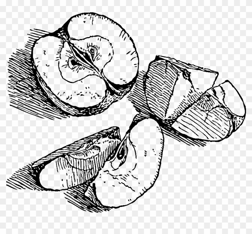 Apple Fruit Clipart Drawing Apple - Apple Drawing Black And White Transparent - Png Download #3329788