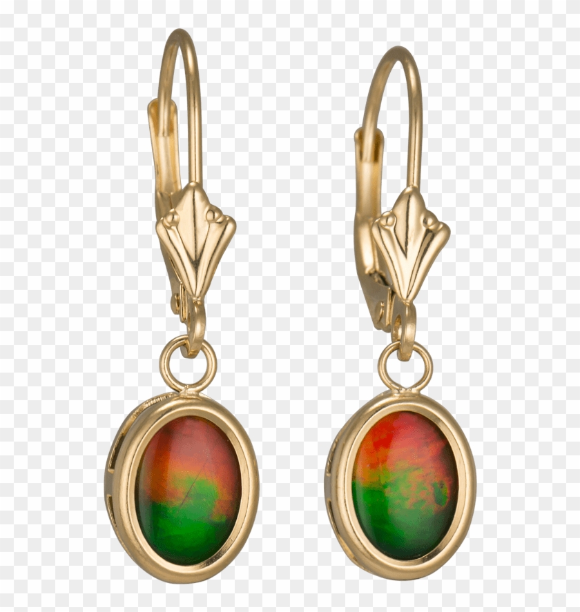 Mila 14k Yellow Gold Earrings By Korite Ammolite - Earrings Clipart