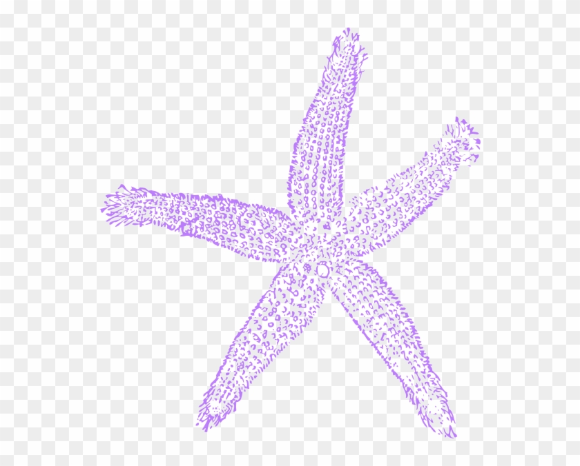 Lavender Clipart Starfish - Blue Sea Shell Clip Art - Png Download