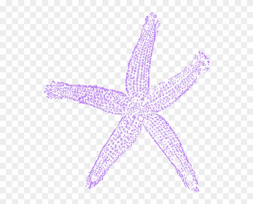 Lavender Clipart Starfish - Blue Sea Shell Clip Art - Png Download #3330125