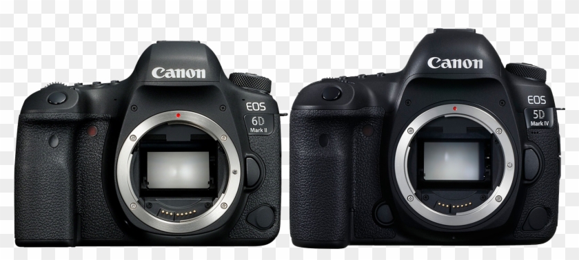 5d Iv Vs 6d Ii - Canon 80d Vs 6d Mark Ii Clipart