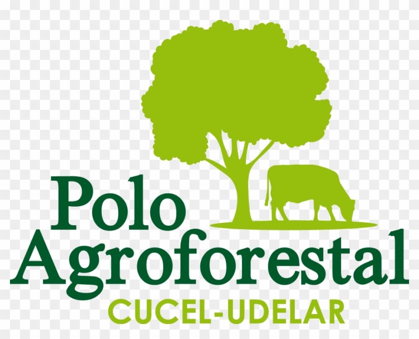 Http - //www - Poloagroforestal - Edu - Uy/wp Polo Clipart