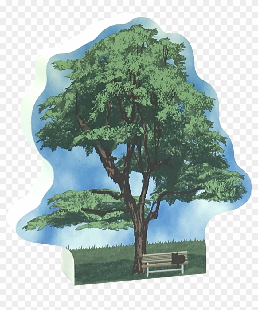 Oak Clipart #3331154