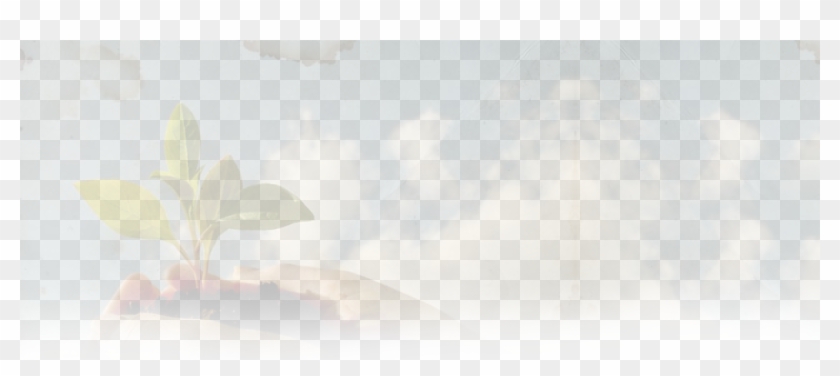 Beliefs Content Bg - Painting Clipart