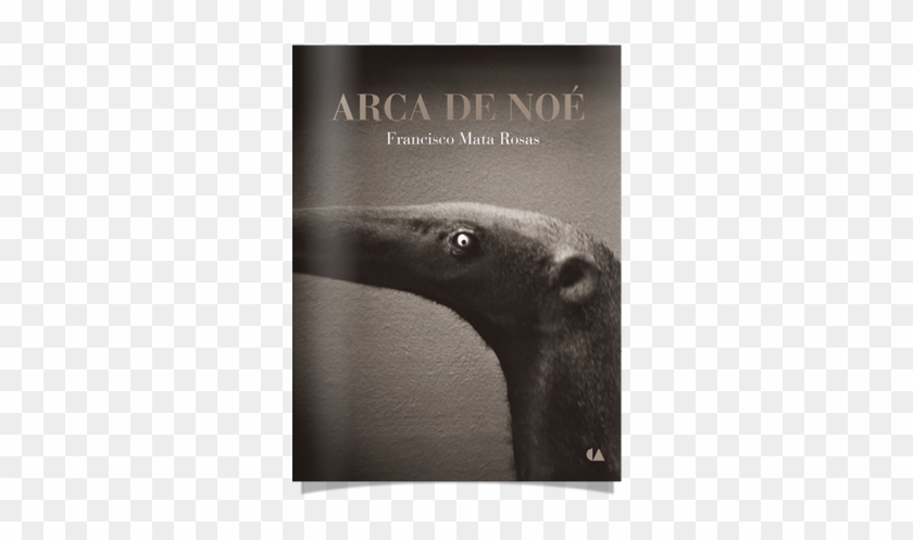 De La Serie “arca De Noé” - Giant Anteater Clipart