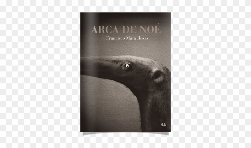 De La Serie “arca De Noé” - Giant Anteater Clipart #3332611