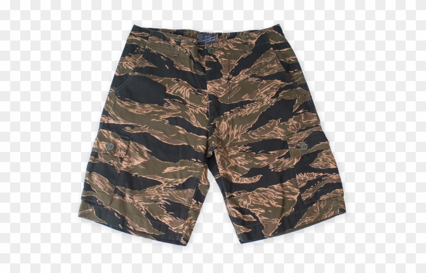 Gold Tiger Shorts - Board Short Clipart