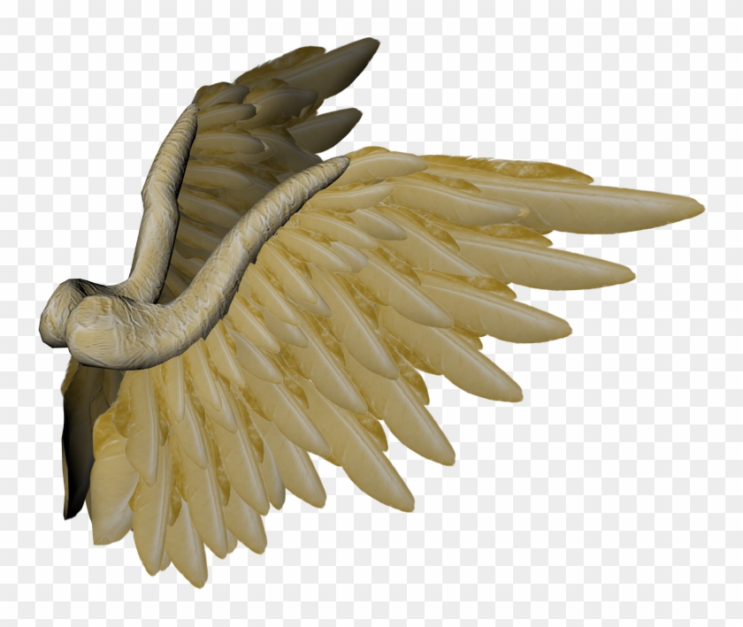 This Image Has Been Resized To Fit In The Page - Golden Eagle Clipart