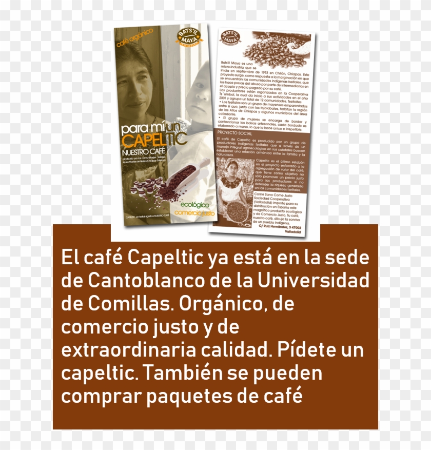 Capeltic Comillas - Brochure Clipart #3334763