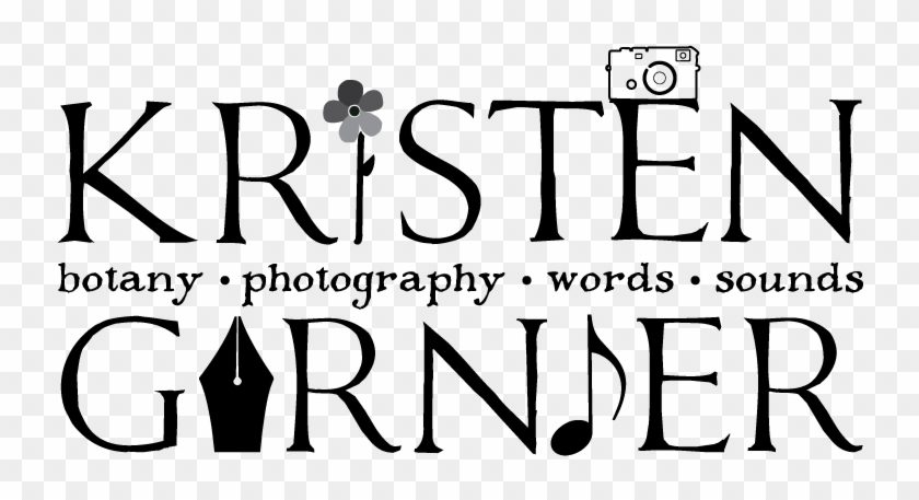 Clip Art - Png Download #3335157