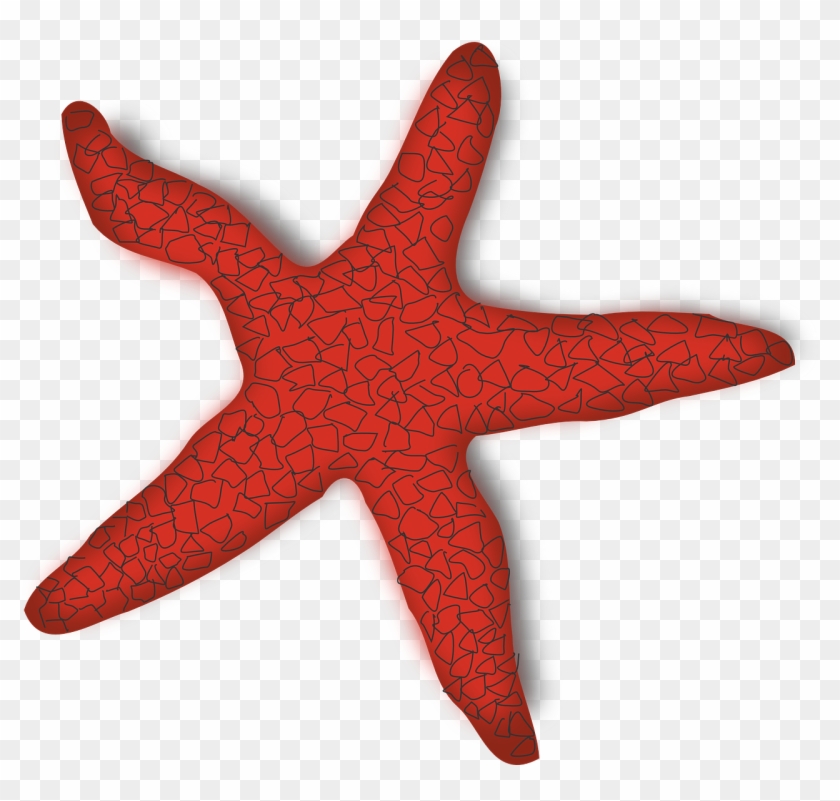 Vector Graphics,free Pictures, Free - Starfish Clip Art - Png Download