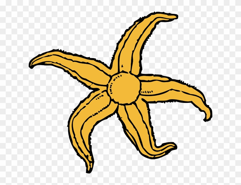 Cartoon Starfish, Starfish Drawing, Free Clipart Images, - Clip Art Of Water Animals - Png Download #3335627