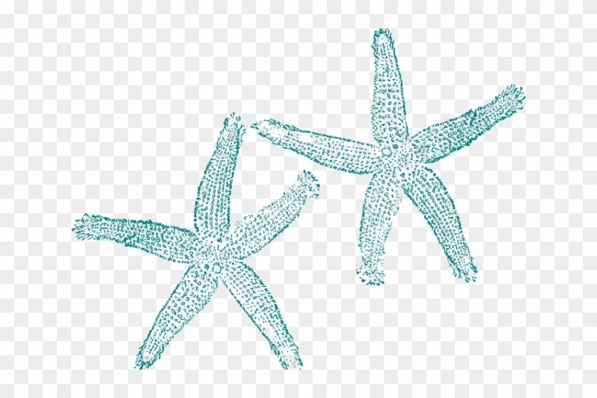Turquoise Starfish Clipart - Png Download #3335721