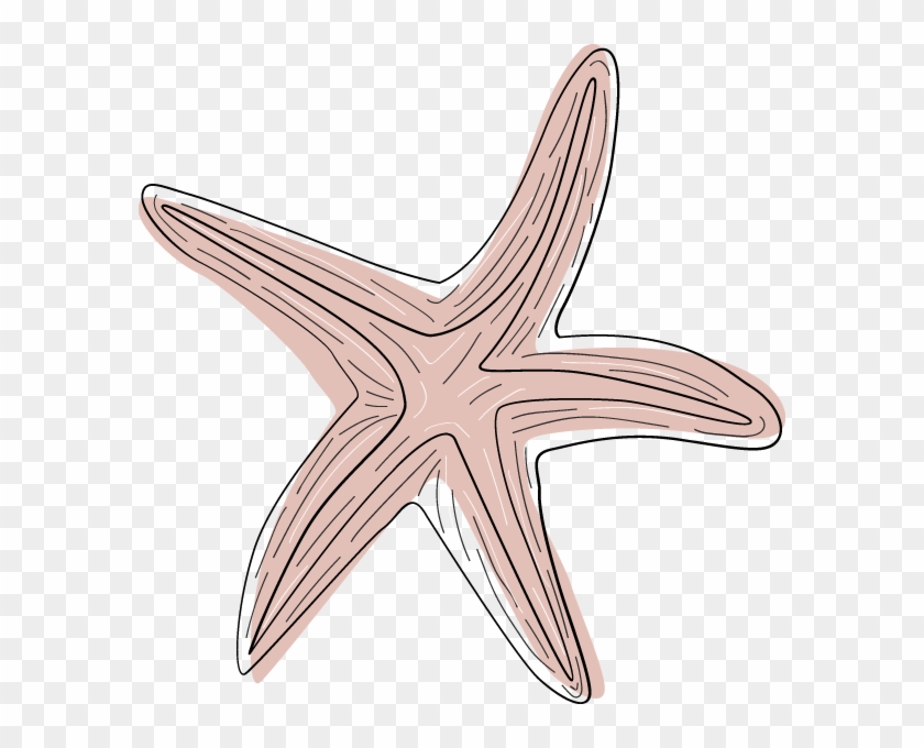 Free Online Starfish Sea Plant Underwater Vector For - Starfish Clipart