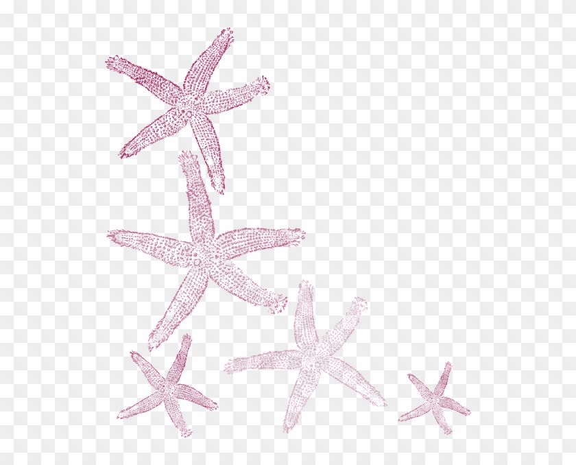 Stairway Clip Art At Clker Com Vector - Png Clipart Seashell Png Transparent Png