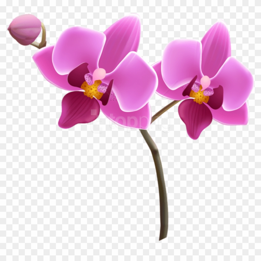Free Png Download Purple Orchid Png Images Background - Orchid Flower Clipart Transparent Png #3336095