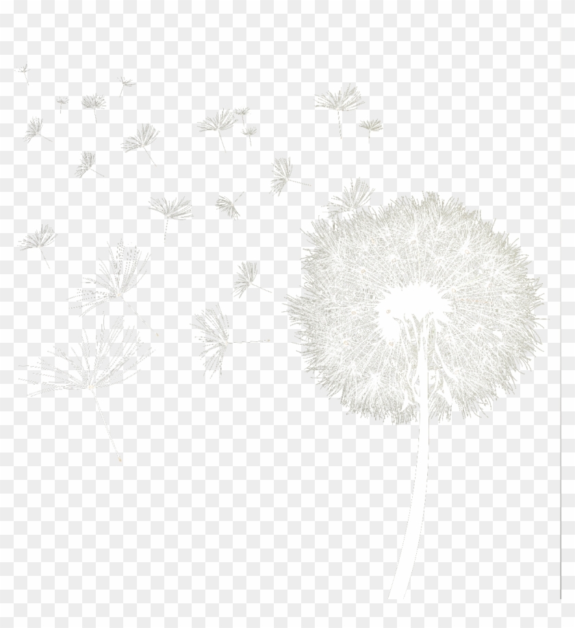 Dandelion Download Transparent Png Image - Transparent Dandelion Black And White Clipart #3336994