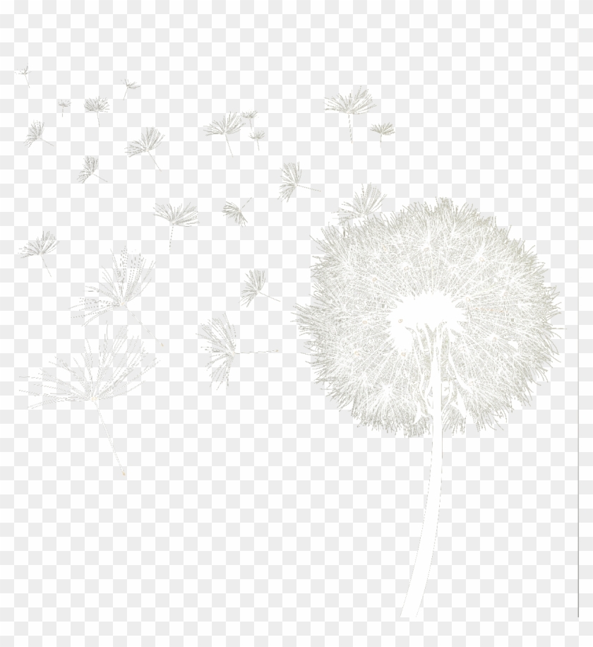 Dandelion Download Transparent Png Image - Transparent Dandelion Black And White Clipart