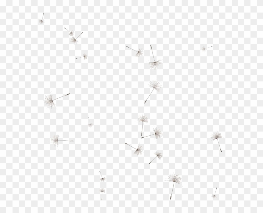 Dandelion Png Image - Dandelion Seed Dandelion Png Clipart #3337027