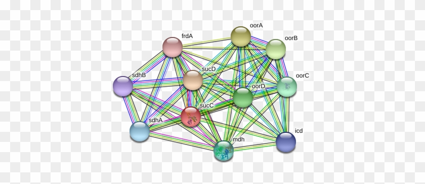 Succ Protein - Circle Clipart