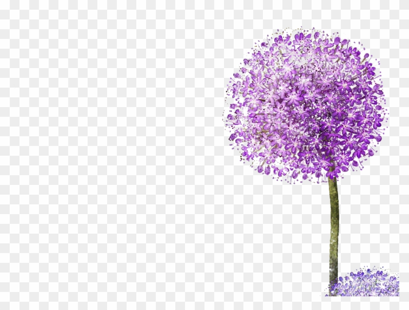 Dandelion Transparent Purple - Diente De Leon Lila Clipart #3337526