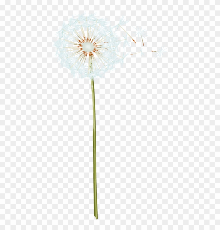 Dandelion Png Transparent Image - Dandelion Clipart #3337910