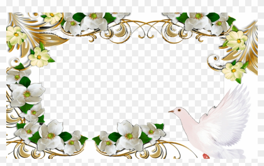 Marco Foto Paloma De La Paz - Marco Con Paloma De La Paz Clipart