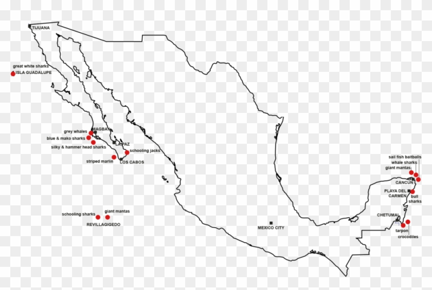 Mapa De Especies Pelágicas En México - Map Clipart