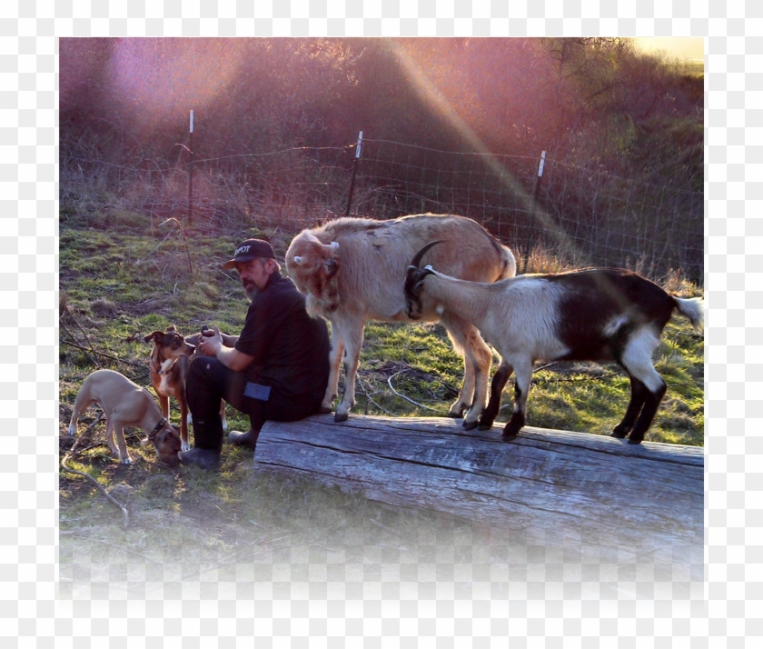 About Animal Farming - Family With Farm Animals Clipart #3339648