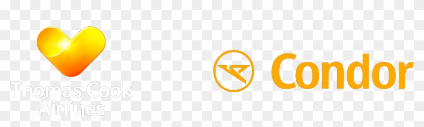 Logo - Circle Clipart #3340951