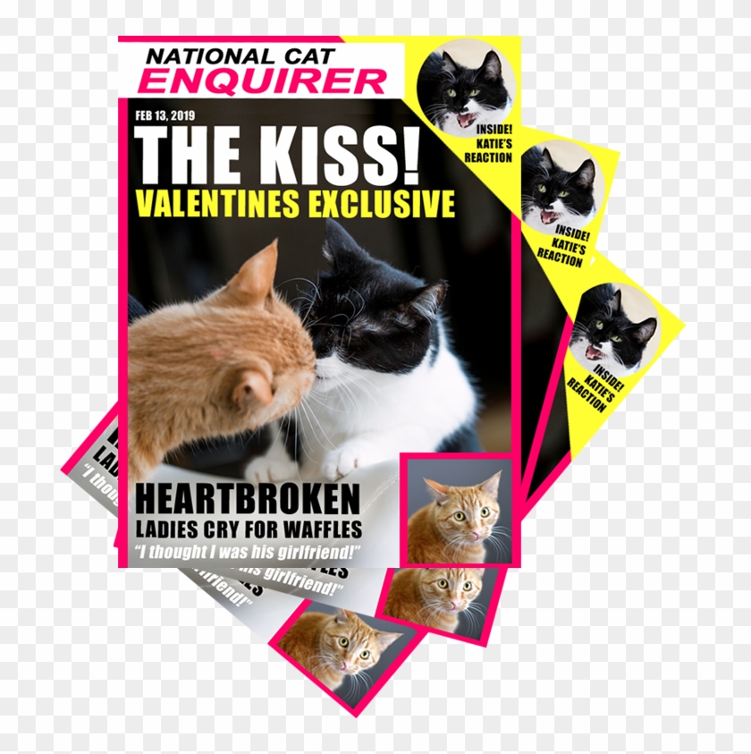 Always Go To The Gym Clipart #3342138