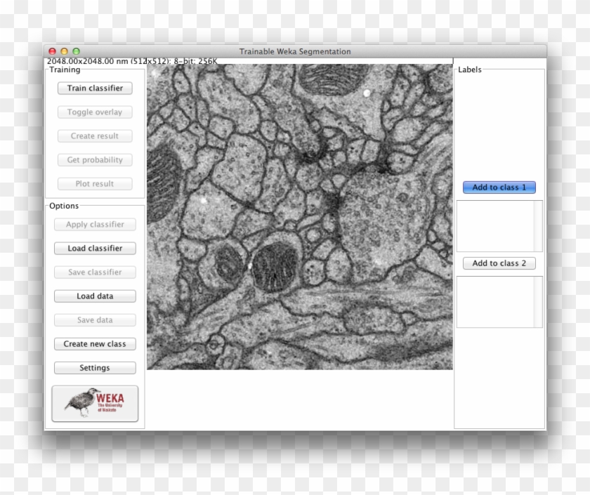 Trainable Weka Segmentation Gui - Trainable Weka Segmentation Clipart