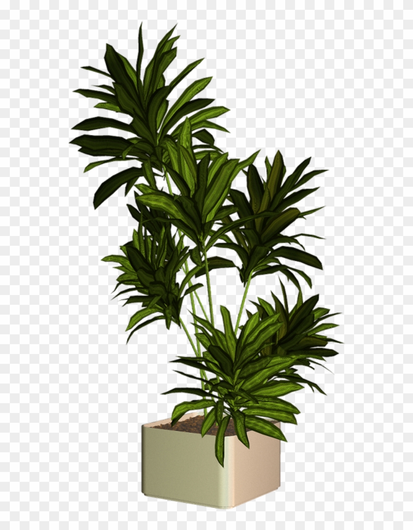 Plantas Png Para Photoshop - Plantas Render Png Clipart