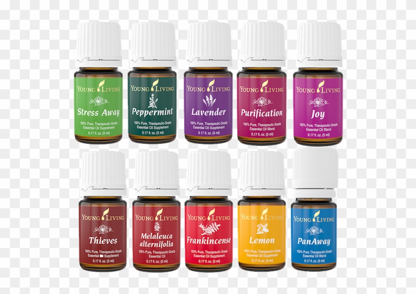 Essential Oils By Young Living - Every Day Young Living Clipart