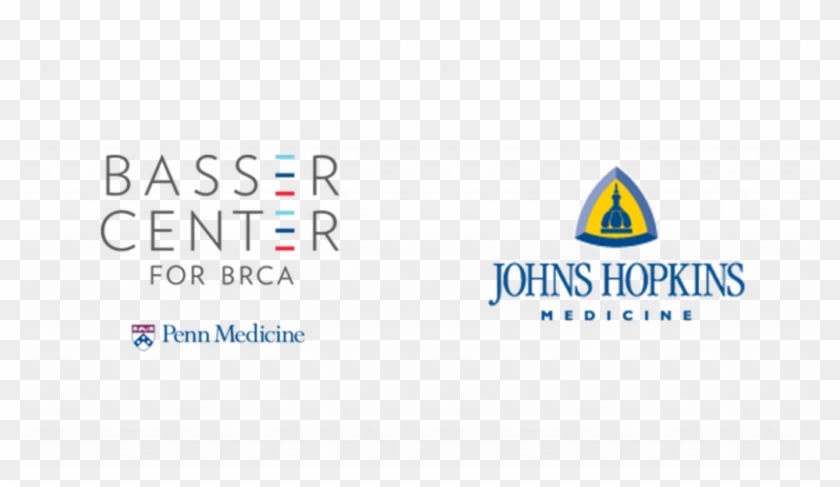 Website Maintained By Dr - Graphic Design Clipart