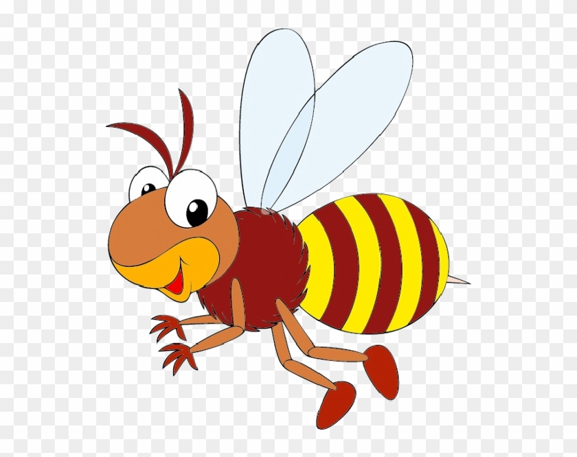 Western Life Cycle Bumblebee Clip Art - Red Bee Clip Art - Png Download