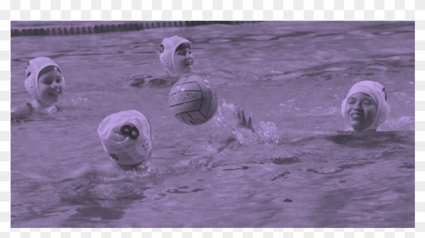 Winter Youth Beginner Clinic - Water Polo Clipart #3347890