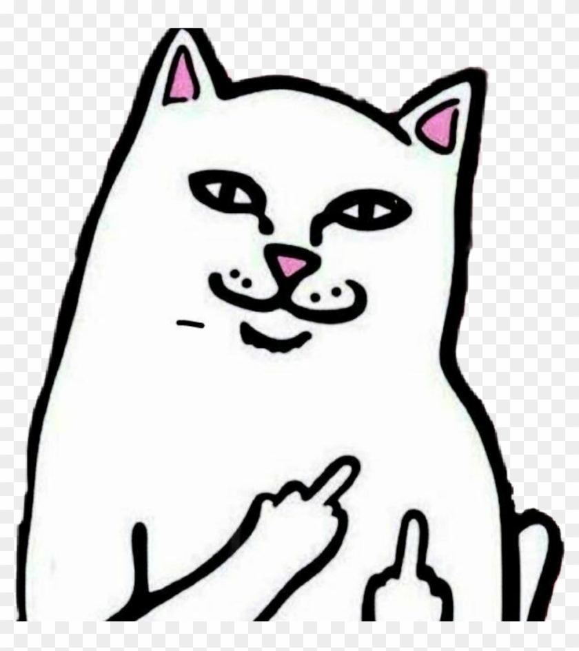 Ripndip Sticker - Middle Finger Meme Clipart