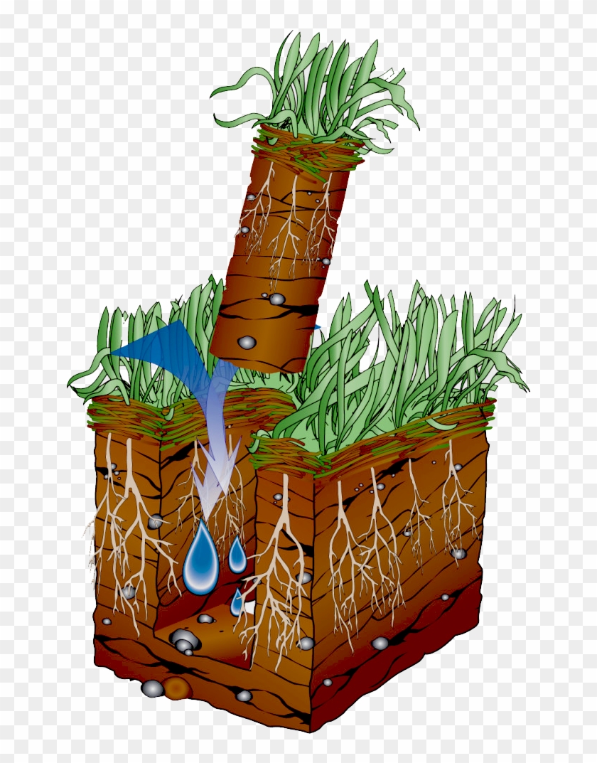 Lawn Clipart Grass Line - Aeration Service - Png Download