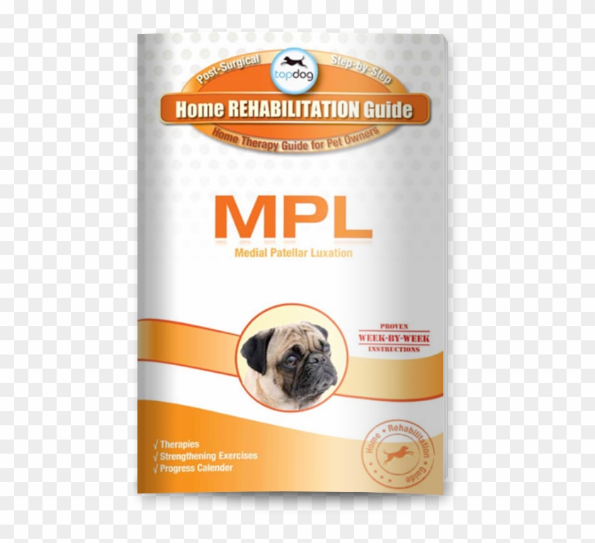 Download Mpl Guide - Pug Clipart #3349328