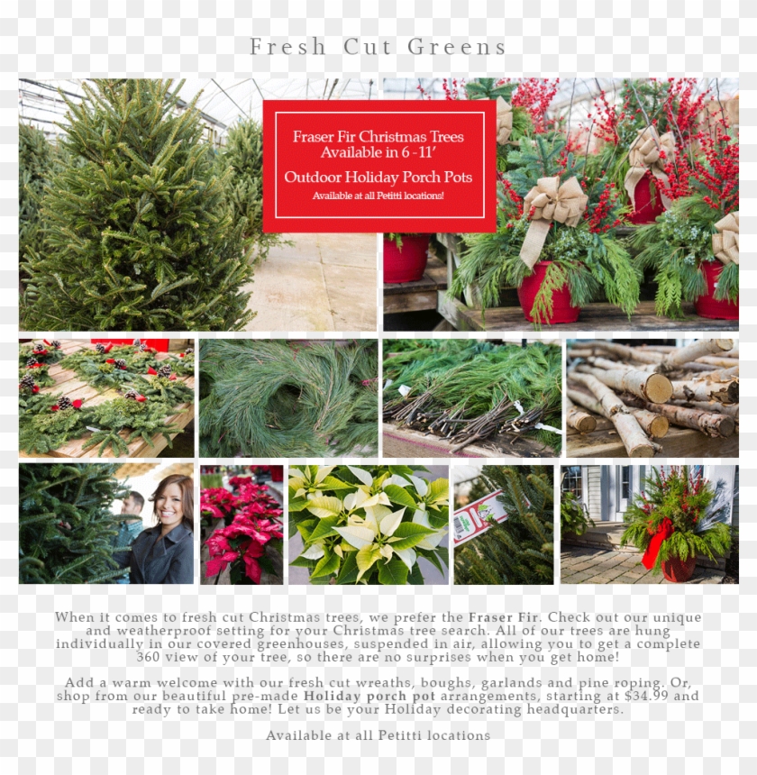 Menu - Christmas Tree Clipart