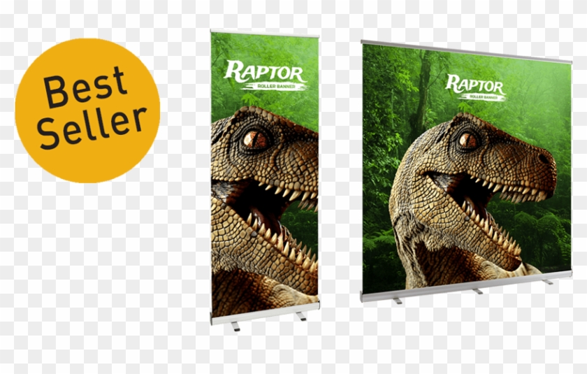 Arrow Print Pull Up Banner - Kall Kwik Clipart