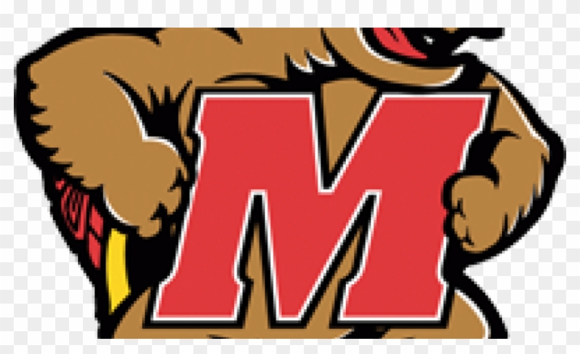 Maryland Terrapins Clipart #3350461