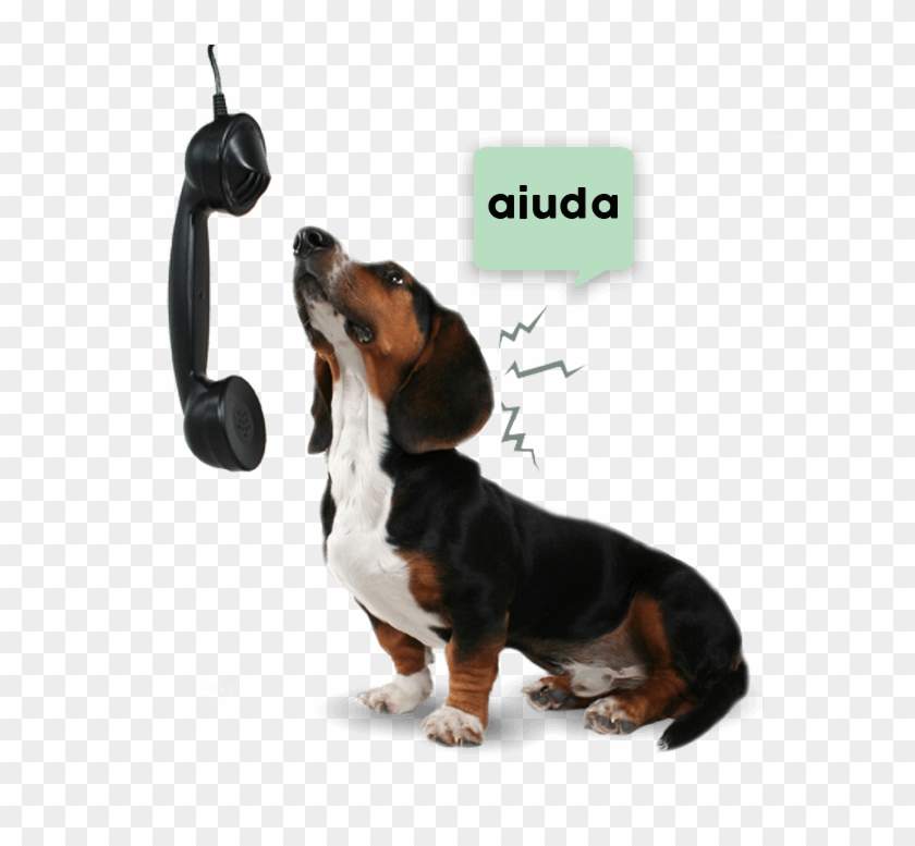 Unam Banfield Logo Perro Llamando - Dog Catches Something Clipart