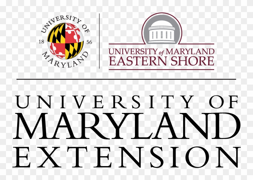 University Of Maryland Extension Logo - University Of Maryland Extension Clipart #3350513